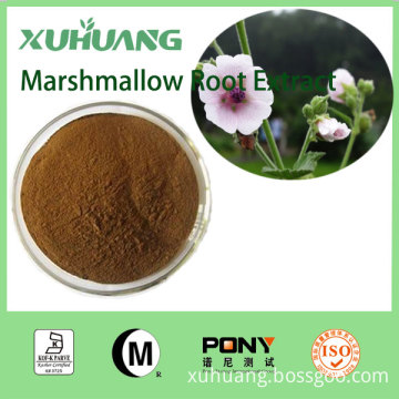 New Fresh Manufacturer Supply Factory Supply Dried Marshmallow Leaf Cut Powder